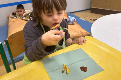 Bramborové hody - 13