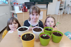 Brezen-ve-skolni-druzine-3