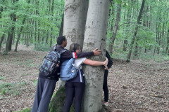 Žáci zkouší obejmout strom.