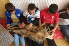 Žáci zkoumají kožešinu.