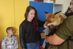 Dívka si hladí lišku.