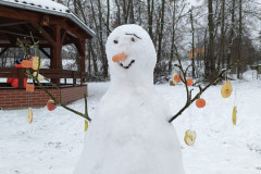 Zimni-radost-a-pomoc-ptackum-9