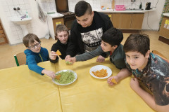 IMG-20260116-WA0021