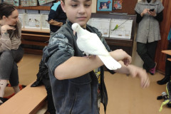 Chlapec drží ptáčka.