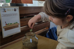 Halloweenská stezka ve školní družině - 8