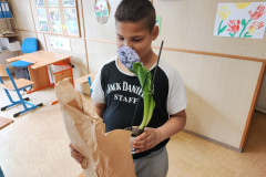 Chlapec vybaluje hyacint.