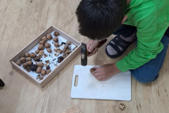 Chlapec připravuje ořechy pro ptáčky.