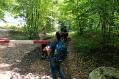 IMG-20250617-WA0004
