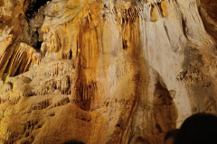 IMG-20250617-WA0005