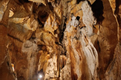 IMG-20250617-WA0006