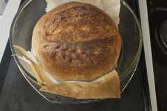 Od-seminka-k-chlebu-12