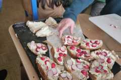 Od-seminka-k-chlebu-13