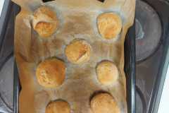 Od-seminka-k-chlebu-22