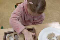 Od-seminka-k-chlebu-23