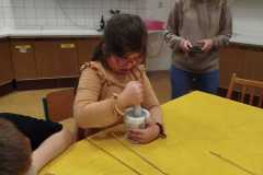 Od-seminka-k-chlebu-9