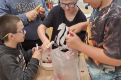 Žáci čistí jablka.