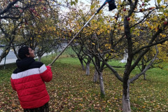 Práce na školní zahradě - 4