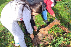 Práce na školní zahradě - 1