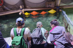 IMG-20250714-WA0014