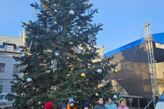 Stromečky na betlémské cestě