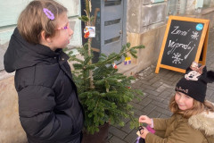 Stromečky na betlémské cestě - 3