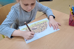 Tajemství přírodní zahrady - 17