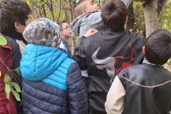 Tajemství přírodní zahrady - 24