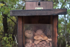 Tajemství přírodní zahrady - 27