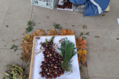 Tajemství přírodní zahrady - 28