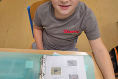 Tajemství přírodní zahrady - 1