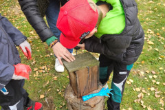 Tajemství přírodní zahrady - 10