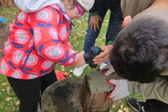 Tajemství přírodní zahrady - 11