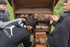 Tajemství přírodní zahrady - 31