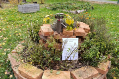 Tajemství přírodní zahrady - 16