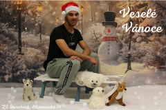 33
