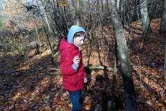 Vycházka do lesa - 1