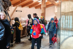 Vylet-do-ZOO-5