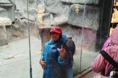 Vylet-do-ZOO-7