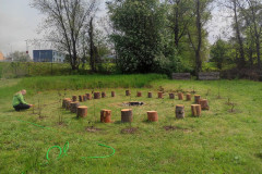 Výsadba stromů a keřů v areálu školy.