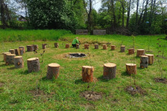 Výsadba stromů a keřů v areálu školy.