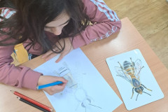 Dívka kreslí včelu.