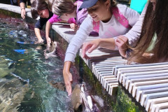 ZOO-Lesna-1