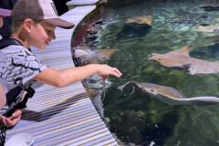 ZOO-Lesna-10