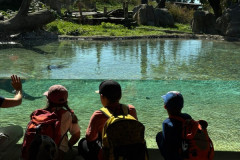 ZOO-Lesna-13
