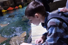 ZOO-Lesna-14