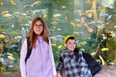 ZOO-Lesna-15