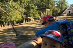 ZOO-Lesna-16