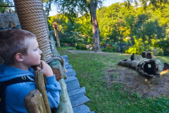 ZOO-Lesna-18