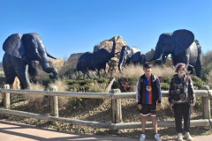 ZOO-Lesna-29