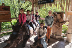 ZOO-Lesna-3